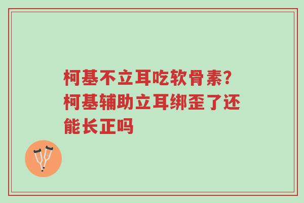 柯基不立耳吃软骨素?柯基辅助立耳绑歪了还能长正吗-第1张图片-超越 柯基不立耳吃软骨素?柯基辅助立耳绑歪了还能长正吗-第1张图片-超越