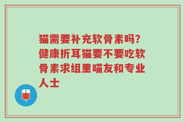 猫需要补充软骨素吗?健康折耳猫要不要吃软骨素求组里喵友和专业人士-第1张图片-超越 猫需要补充软骨素吗?健康折耳猫要不要吃软骨素求组里喵友和专业人士-第1张图片-超越