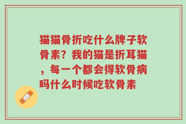 猫猫骨折吃什么牌子软骨素?我的猫是折耳猫,每一个都会得软骨病吗什么时候吃软骨素-第1张图片-超越 猫猫骨折吃什么牌子软骨素?我的猫是折耳猫,每一个都会得软骨病吗什么时候吃软骨素-第1张图片-超越