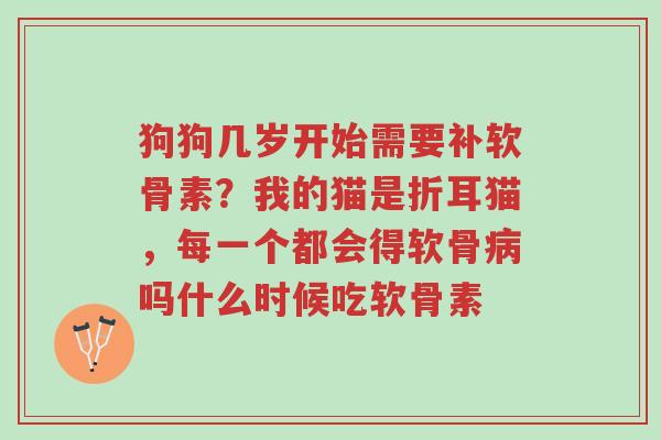 狗狗几岁开始需要补软骨素?我的猫是折耳猫,每一个都会得软骨病吗什么时候吃软骨素-第1张图片-超越 狗狗几岁开始需要补软骨素?我的猫是折耳猫,每一个都会得软骨病吗什么时候吃软骨素-第1张图片-超越