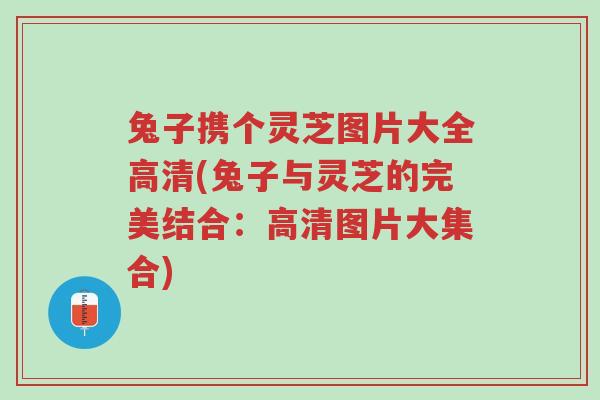 兔子携个灵芝图片大全高清(兔子与灵芝的完美结合:高清图片大集合)-第1张图片-超越 兔子携个灵芝图片大全高清(兔子与灵芝的完美结合:高清图片大集合)-第1张图片-超越