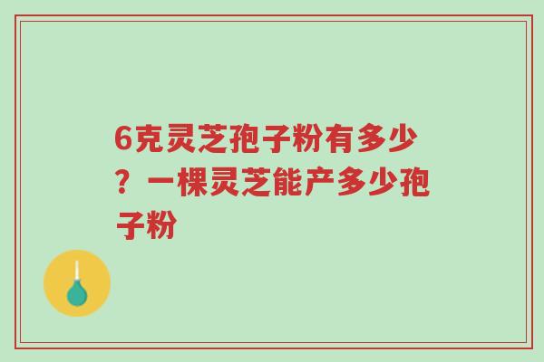 6克灵芝孢子粉有多少?一棵灵芝能产多少孢子粉-第1张图片-超越 6克灵芝孢子粉有多少?一棵灵芝能产多少孢子粉-第1张图片-超越