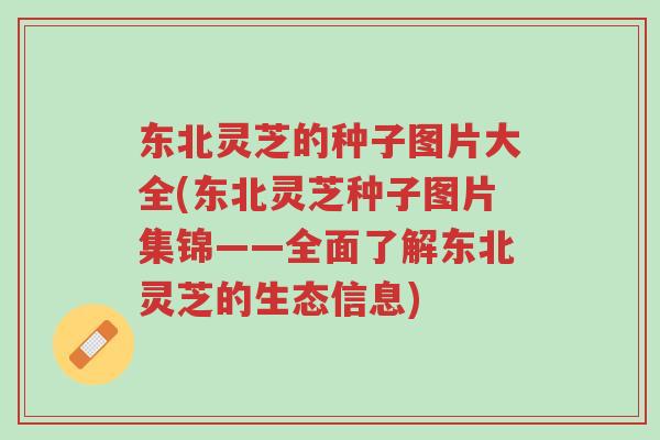 东北灵芝的种子图片大全(东北灵芝种子图片集锦——全面了解东北灵芝的生态信息)-第1张图片-超越 东北灵芝的种子图片大全(东北灵芝种子图片集锦——全面了解东北灵芝的生态信息)-第1张图片-超越