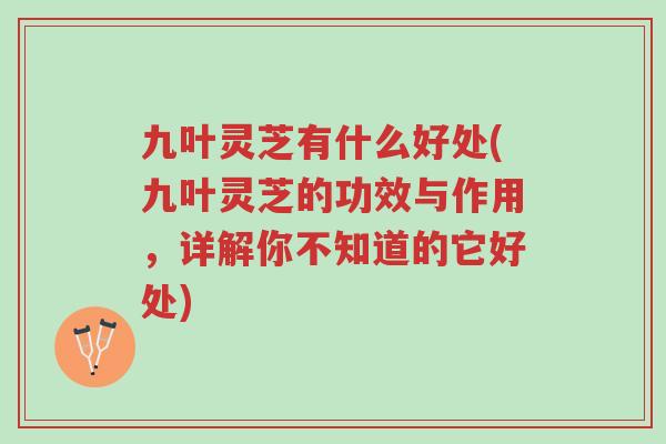 九叶灵芝有什么好处(九叶灵芝的功效与作用,详解你不知道的它好处)-第1张图片-超越 九叶灵芝有什么好处(九叶灵芝的功效与作用,详解你不知道的它好处)-第1张图片-超越