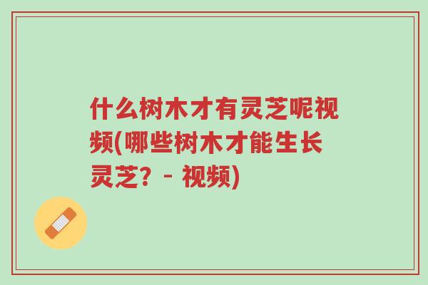 什么树木才有灵芝呢视频(哪些树木才能生长灵芝?- 视频)-第1张图片-超越 什么树木才有灵芝呢视频(哪些树木才能生长灵芝?- 视频)-第1张图片-超越