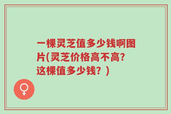 一棵灵芝值多少钱啊图片(灵芝价格高不高?这棵值多少钱?)-第1张图片-超越 一棵灵芝值多少钱啊图片(灵芝价格高不高?这棵值多少钱?)-第1张图片-超越