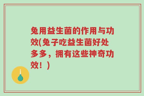 兔用益生菌的作用与功效(兔子吃益生菌好处多多,拥有这些神奇功效!)-第1张图片-超越 兔用益生菌的作用与功效(兔子吃益生菌好处多多,拥有这些神奇功效!)-第1张图片-超越