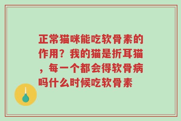 正常猫咪能吃软骨素的作用?我的猫是折耳猫,每一个都会得软骨病吗什么时候吃软骨素-第1张图片-超越 正常猫咪能吃软骨素的作用?我的猫是折耳猫,每一个都会得软骨病吗什么时候吃软骨素-第1张图片-超越