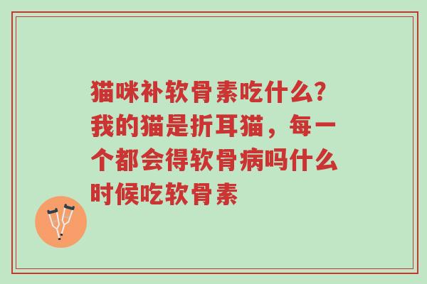 猫咪补软骨素吃什么?我的猫是折耳猫,每一个都会得软骨病吗什么时候吃软骨素-第1张图片-超越 猫咪补软骨素吃什么?我的猫是折耳猫,每一个都会得软骨病吗什么时候吃软骨素-第1张图片-超越
