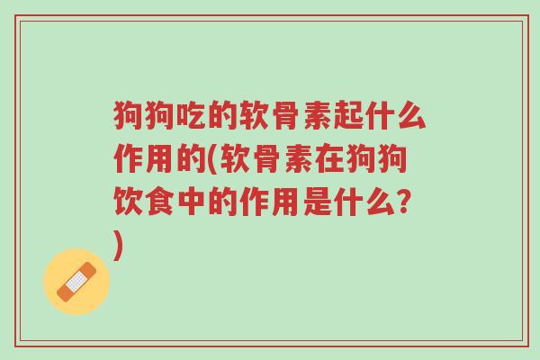 狗狗吃的软骨素起什么作用的(软骨素在狗狗饮食中的作用是什么?)-第1张图片-超越 狗狗吃的软骨素起什么作用的(软骨素在狗狗饮食中的作用是什么?)-第1张图片-超越