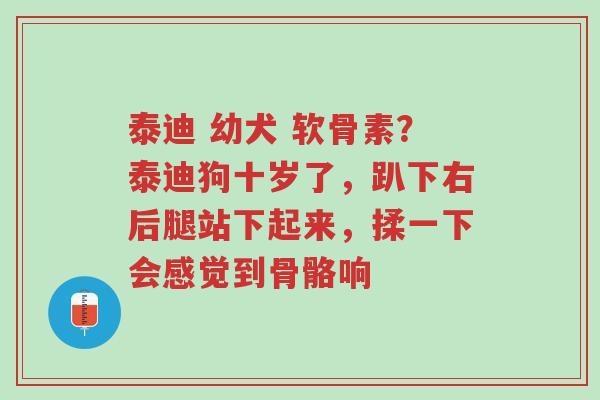 泰迪 幼犬 软骨素?泰迪狗十岁了,趴下右后腿站下起来,揉一下会感觉到骨骼响-第1张图片-超越 泰迪 幼犬 软骨素?泰迪狗十岁了,趴下右后腿站下起来,揉一下会感觉到骨骼响-第1张图片-超越