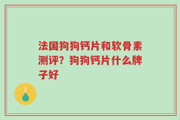法国狗狗钙片和软骨素测评?狗狗钙片什么牌子好-第1张图片-超越 法国狗狗钙片和软骨素测评?狗狗钙片什么牌子好-第1张图片-超越