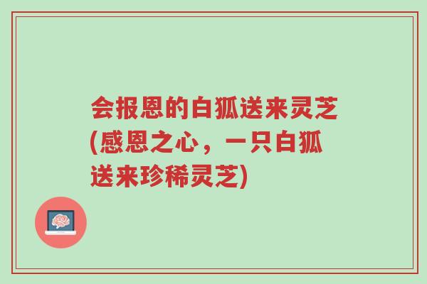 会报恩的白狐送来灵芝(感恩之心,一只白狐送来珍稀灵芝)-第1张图片-超越 会报恩的白狐送来灵芝(感恩之心,一只白狐送来珍稀灵芝)-第1张图片-超越