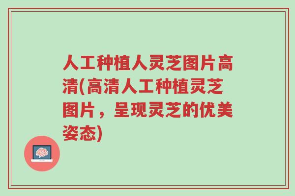 人工种植人灵芝图片高清(高清人工种植灵芝图片,呈现灵芝的优美姿态)-第1张图片-超越 人工种植人灵芝图片高清(高清人工种植灵芝图片,呈现灵芝的优美姿态)-第1张图片-超越