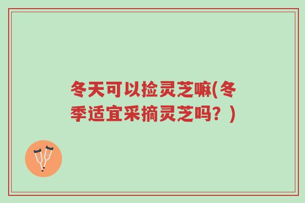 冬天可以捡灵芝嘛(冬季适宜采摘灵芝吗？)-第1张图片-超越
