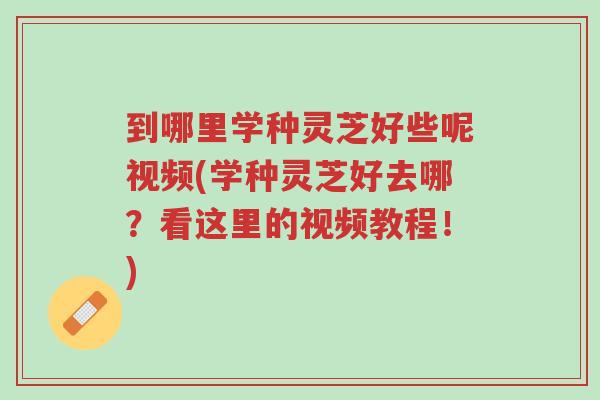 到哪里学种灵芝好些呢视频(学种灵芝好去哪?看这里的视频教程!)-第1张图片-超越 到哪里学种灵芝好些呢视频(学种灵芝好去哪?看这里的视频教程!)-第1张图片-超越