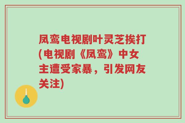 凤鸾电视剧叶灵芝挨打(电视剧《凤鸾》中女主遭受家暴，引发网友关注)-第1张图片-超越