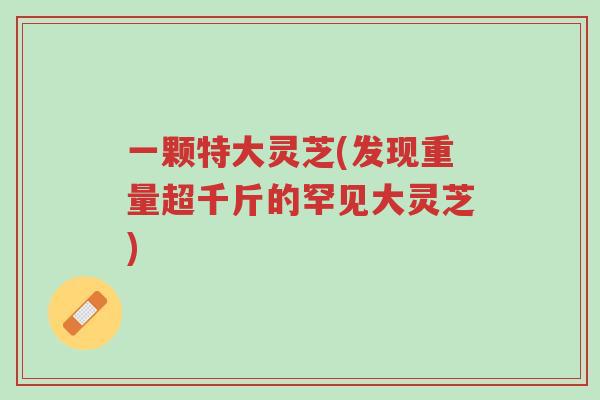 一颗特大灵芝(发现重量超千斤的罕见大灵芝)-第1张图片-超越 一颗特大灵芝(发现重量超千斤的罕见大灵芝)-第1张图片-超越