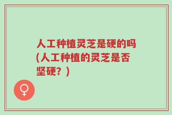 人工种植灵芝是硬的吗(人工种植的灵芝是否坚硬?)-第1张图片-超越 人工种植灵芝是硬的吗(人工种植的灵芝是否坚硬?)-第1张图片-超越