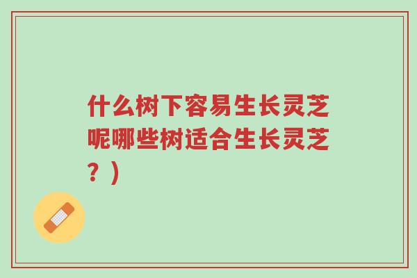 什么树下容易生长灵芝呢哪些树适合生长灵芝?)-第1张图片-超越 什么树下容易生长灵芝呢哪些树适合生长灵芝?)-第1张图片-超越