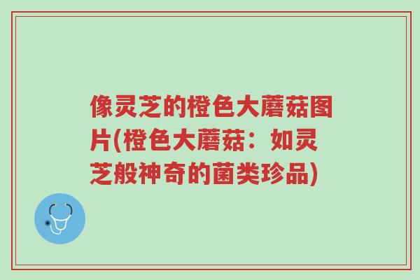 像灵芝的橙色大蘑菇图片(橙色大蘑菇:如灵芝般神奇的菌类珍品)-第1张图片-超越 像灵芝的橙色大蘑菇图片(橙色大蘑菇:如灵芝般神奇的菌类珍品)-第1张图片-超越