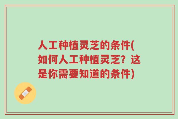 人工种植灵芝的条件(如何人工种植灵芝？这是你需要知道的条件)-第1张图片-超越