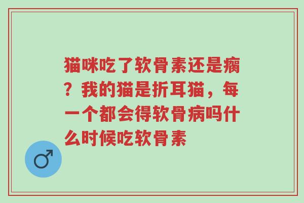 猫咪吃了软骨素还是瘸?我的猫是折耳猫,每一个都会得软骨病吗什么时候吃软骨素-第1张图片-超越 猫咪吃了软骨素还是瘸?我的猫是折耳猫,每一个都会得软骨病吗什么时候吃软骨素-第1张图片-超越