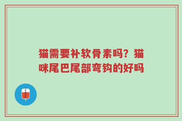 猫需要补软骨素吗?猫咪尾巴尾部弯钩的好吗-第1张图片-超越 猫需要补软骨素吗?猫咪尾巴尾部弯钩的好吗-第1张图片-超越