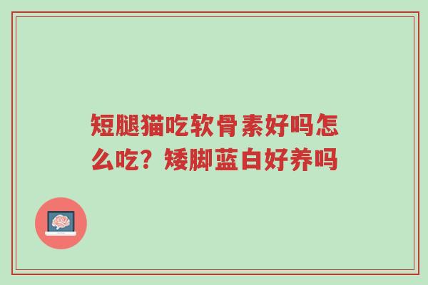 短腿猫吃软骨素好吗怎么吃?矮脚蓝白好养吗-第1张图片-超越 短腿猫吃软骨素好吗怎么吃?矮脚蓝白好养吗-第1张图片-超越