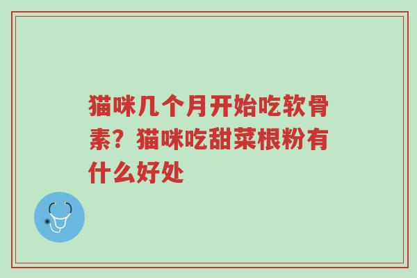 猫咪几个月开始吃软骨素?猫咪吃甜菜根粉有什么好处-第1张图片-超越 猫咪几个月开始吃软骨素?猫咪吃甜菜根粉有什么好处-第1张图片-超越