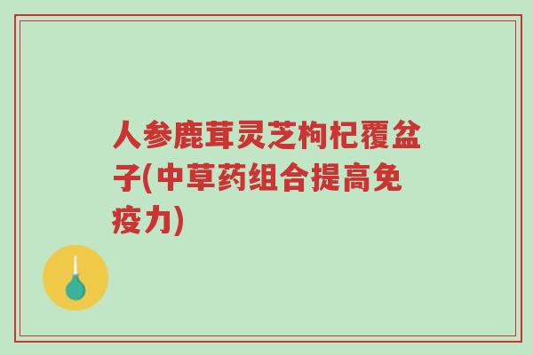 人参鹿茸灵芝枸杞覆盆子(中草药组合提高免疫力)-第1张图片-超越