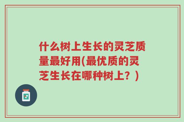 什么树上生长的灵芝质量最好用(最优质的灵芝生长在哪种树上?)-第1张图片-超越 什么树上生长的灵芝质量最好用(最优质的灵芝生长在哪种树上?)-第1张图片-超越