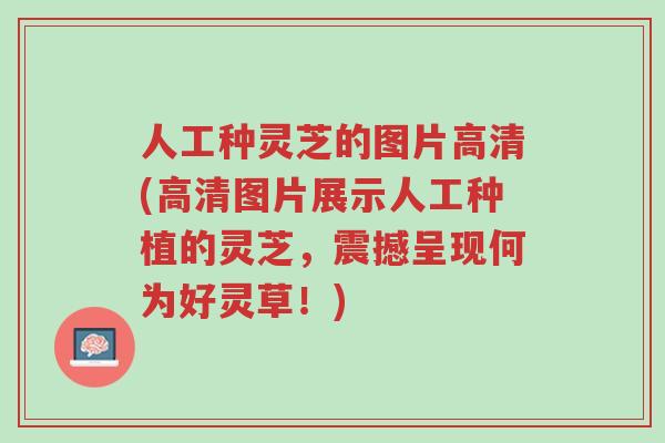 人工种灵芝的图片高清(高清图片展示人工种植的灵芝,震撼呈现何为好灵草!)-第1张图片-超越 人工种灵芝的图片高清(高清图片展示人工种植的灵芝,震撼呈现何为好灵草!)-第1张图片-超越