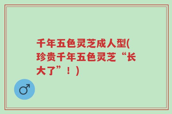 千年五色灵芝成人型(珍贵千年五色灵芝“长大了”！)-第1张图片-超越