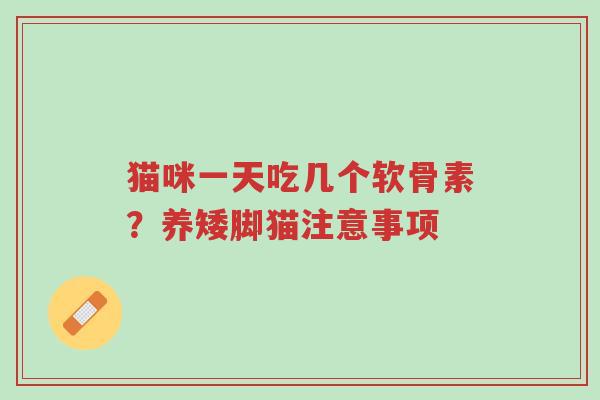 猫咪一天吃几个软骨素?养矮脚猫注意事项-第1张图片-超越 猫咪一天吃几个软骨素?养矮脚猫注意事项-第1张图片-超越