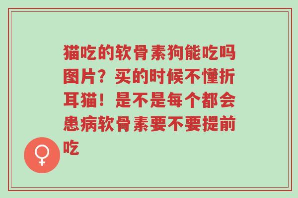 猫吃的软骨素狗能吃吗图片?买的时候不懂折耳猫!是不是每个都会患病软骨素要不要提前吃-第1张图片-超越 猫吃的软骨素狗能吃吗图片?买的时候不懂折耳猫!是不是每个都会患病软骨素要不要提前吃-第1张图片-超越