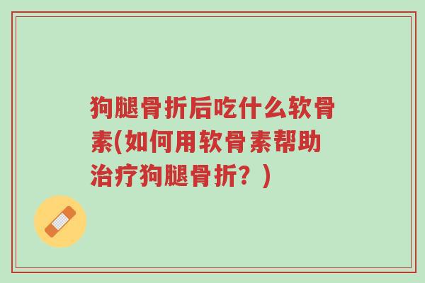 狗腿骨折后吃什么软骨素(如何用软骨素帮助治疗狗腿骨折?)-第1张图片-超越 狗腿骨折后吃什么软骨素(如何用软骨素帮助治疗狗腿骨折?)-第1张图片-超越