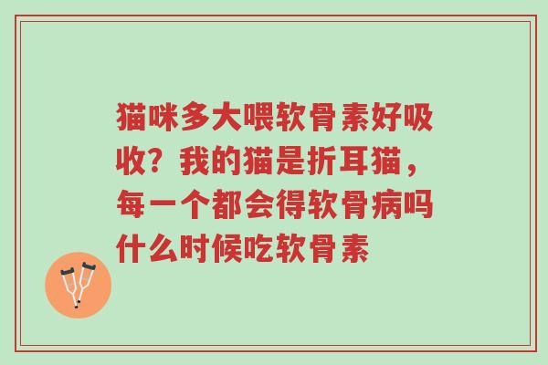 猫咪多大喂软骨素好吸收？我的猫是折耳猫，每一个都会得软骨病吗什么时候吃软骨素-第1张图片-超越