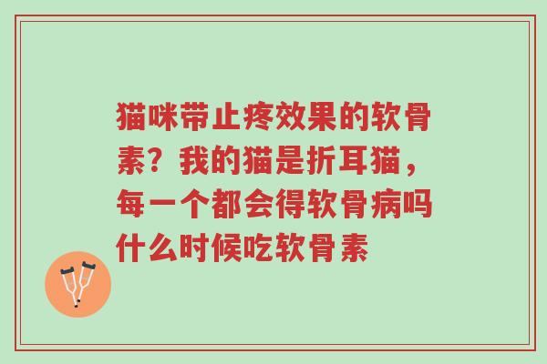 猫咪带止疼效果的软骨素?我的猫是折耳猫,每一个都会得软骨病吗什么时候吃软骨素-第1张图片-超越 猫咪带止疼效果的软骨素?我的猫是折耳猫,每一个都会得软骨病吗什么时候吃软骨素-第1张图片-超越
