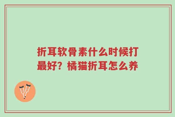 折耳软骨素什么时候打最好?橘猫折耳怎么养-第1张图片-超越 折耳软骨素什么时候打最好?橘猫折耳怎么养-第1张图片-超越