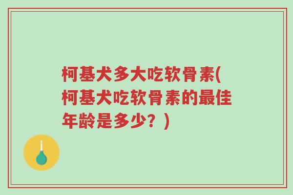 柯基犬多大吃软骨素(柯基犬吃软骨素的最佳年龄是多少?)-第1张图片-超越 柯基犬多大吃软骨素(柯基犬吃软骨素的最佳年龄是多少?)-第1张图片-超越
