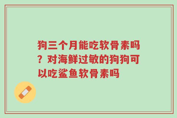 狗三个月能吃软骨素吗?对海鲜过敏的狗狗可以吃鲨鱼软骨素吗-第1张图片-超越 狗三个月能吃软骨素吗?对海鲜过敏的狗狗可以吃鲨鱼软骨素吗-第1张图片-超越
