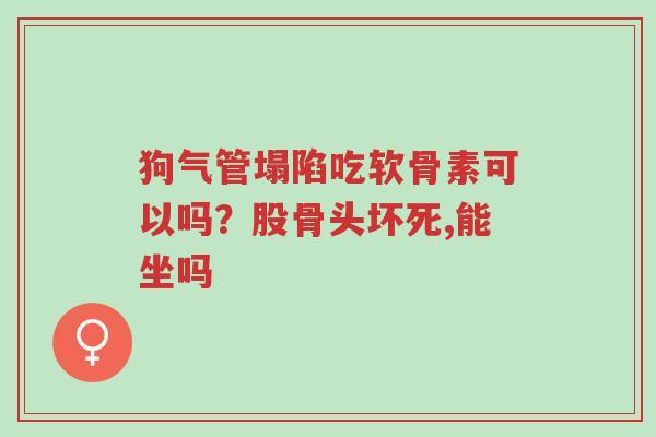 狗气管塌陷吃软骨素可以吗?股骨头坏死,能坐吗-第1张图片-超越 狗气管塌陷吃软骨素可以吗?股骨头坏死,能坐吗-第1张图片-超越