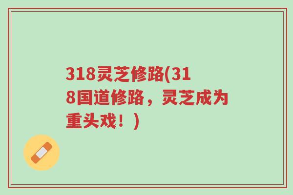 318灵芝修路(318国道修路，灵芝成为重头戏！)-第1张图片-超越