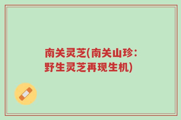 南关灵芝(南关山珍:野生灵芝再现生机)-第1张图片-超越 南关灵芝(南关山珍:野生灵芝再现生机)-第1张图片-超越