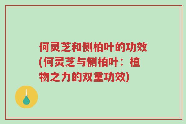 何灵芝和侧柏叶的功效(何灵芝与侧柏叶：植物之力的双重功效)-第1张图片-超越