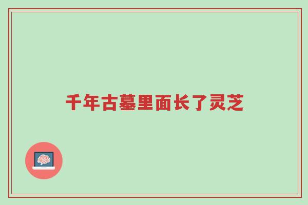 千年古墓里面长了灵芝-第1张图片-超越 千年古墓里面长了灵芝-第1张图片-超越