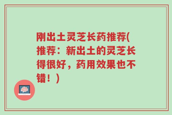 刚出土灵芝长药推荐(推荐:新出土的灵芝长得很好,药用效果也不错!)-第1张图片-超越 刚出土灵芝长药推荐(推荐:新出土的灵芝长得很好,药用效果也不错!)-第1张图片-超越
