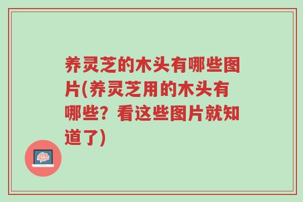 养灵芝的木头有哪些图片(养灵芝用的木头有哪些？看这些图片就知道了)-第1张图片-超越