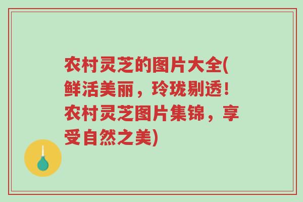 农村灵芝的图片大全(鲜活美丽，玲珑剔透！农村灵芝图片集锦，享受自然之美)-第1张图片-超越